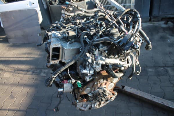 Motor Completo Audi 2.0 TDI 50.000 km Deuc usado 2