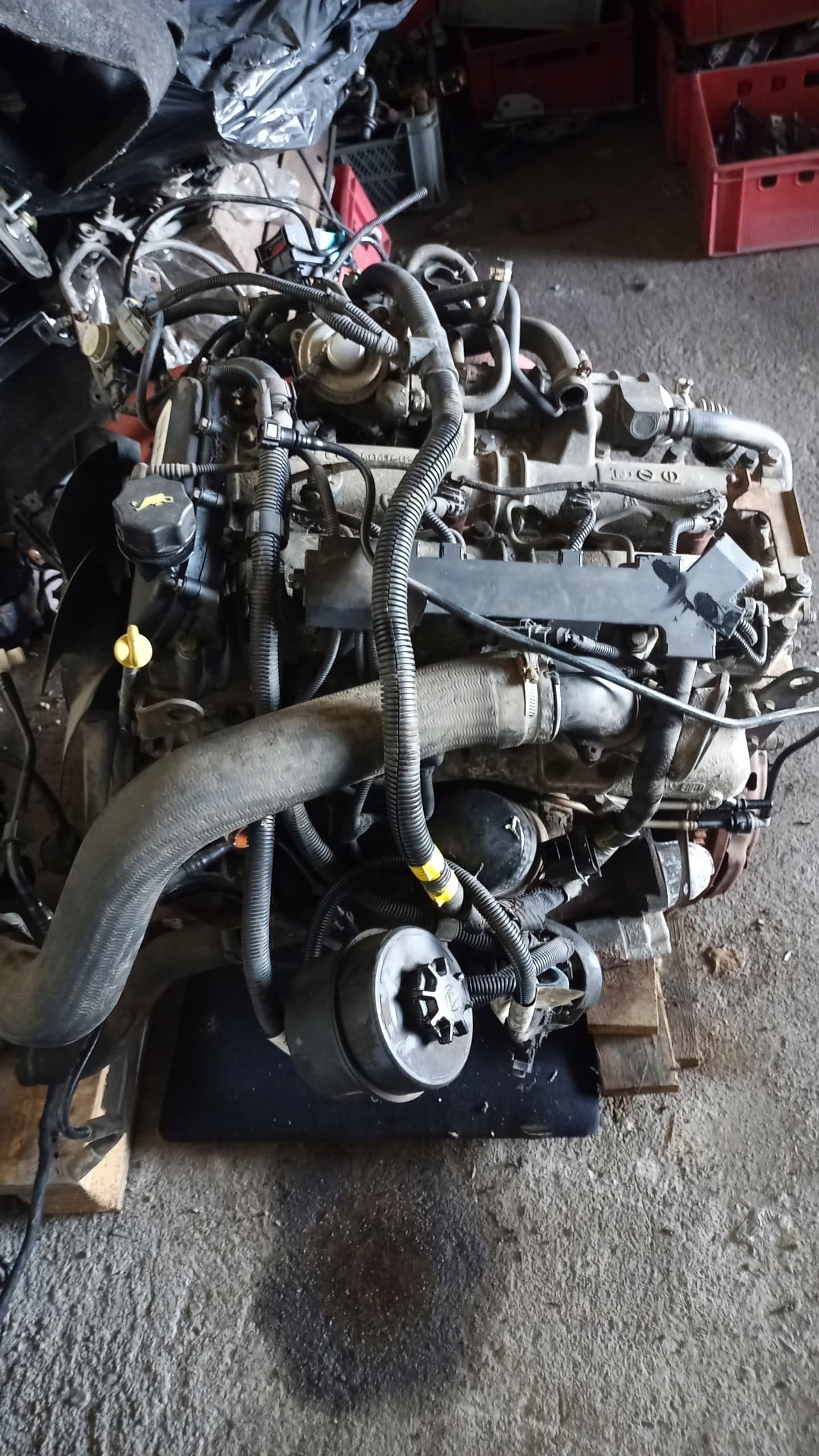 Iveco Daily IV Motor 3.0 Hpi F1CE0481F Euro 4 270.000 KM usado 3