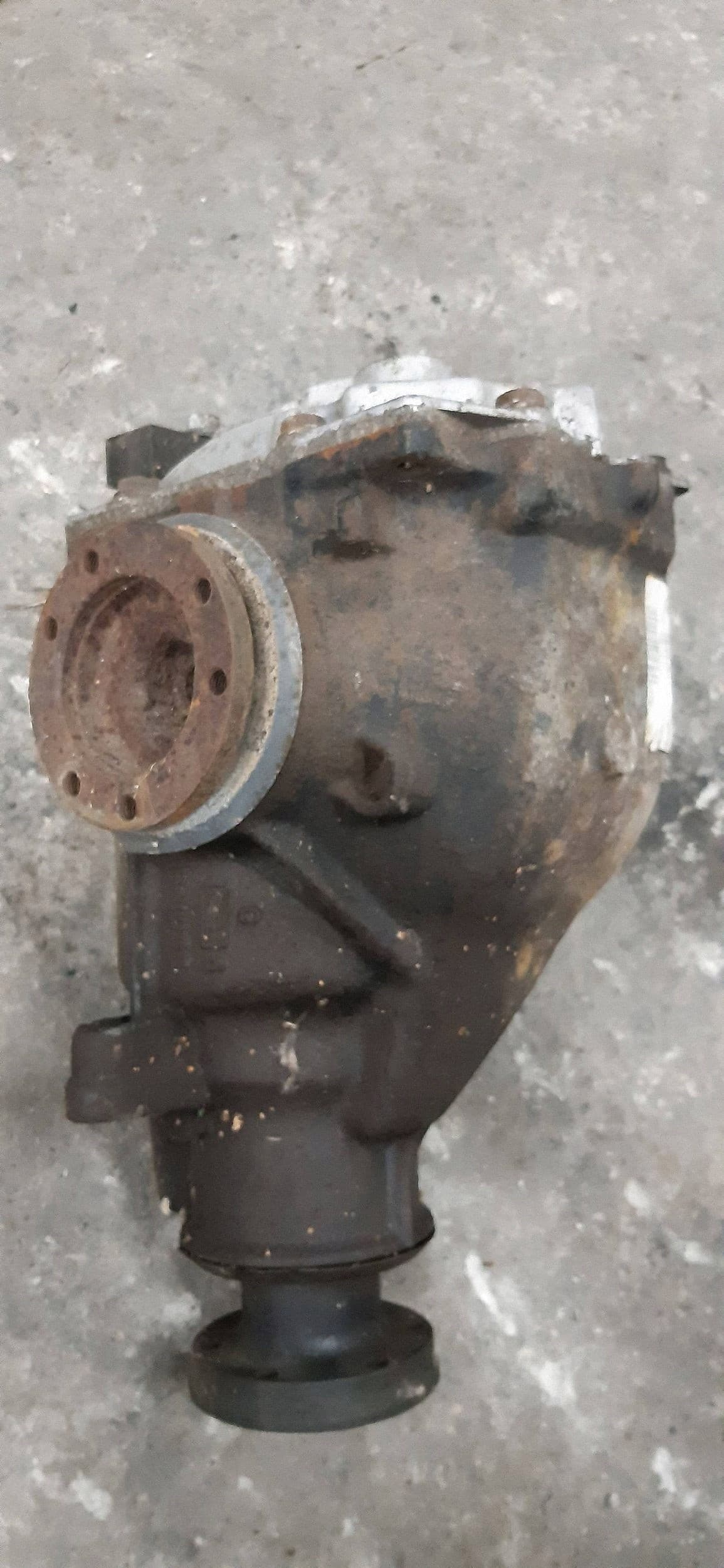 Diferencial trasero BMW 3 E46 752615303 usado 3