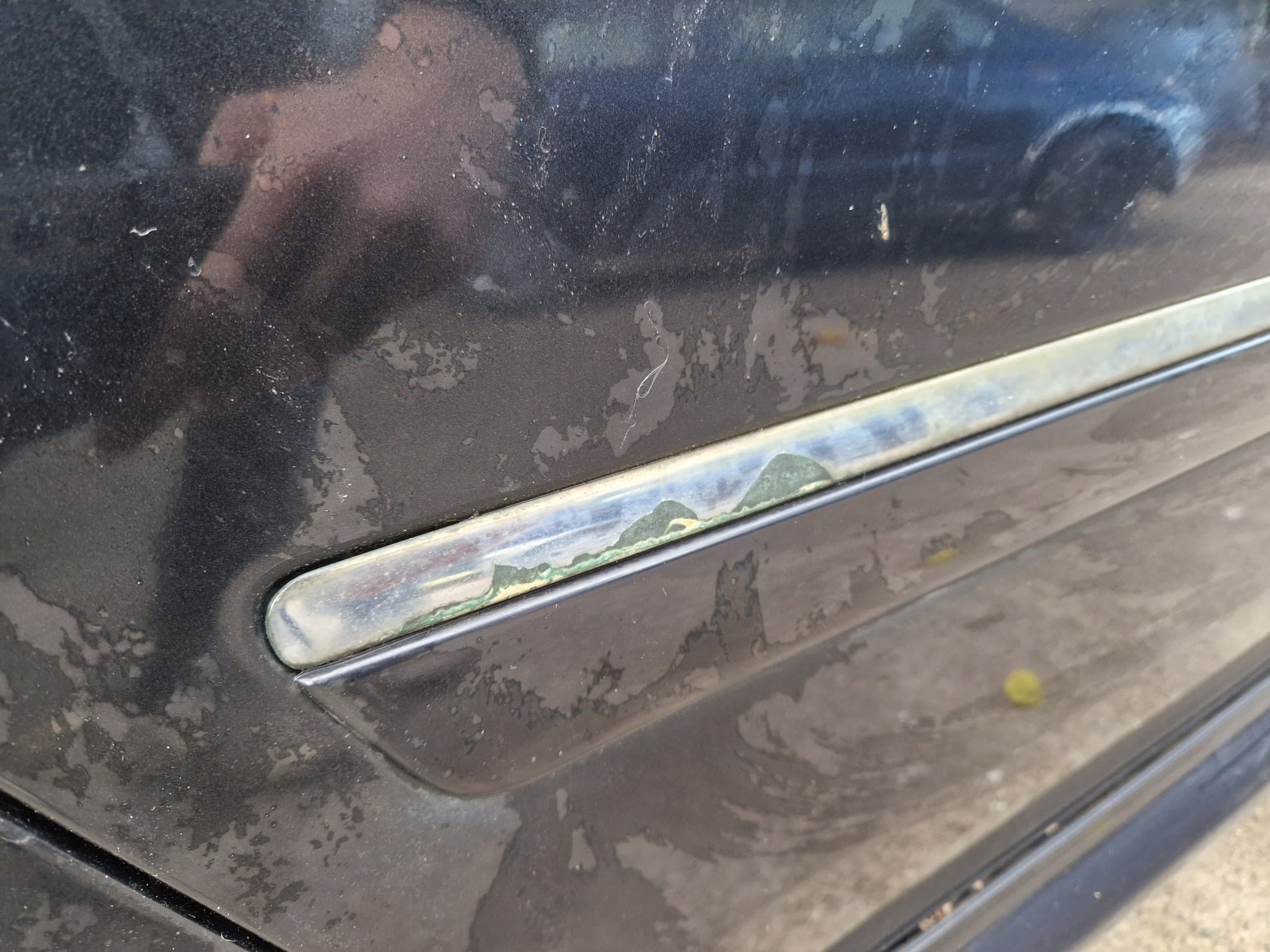 Puerta Trasera Derecha Sin Pintar Audi A4 B6 LX7Z nuevo 4