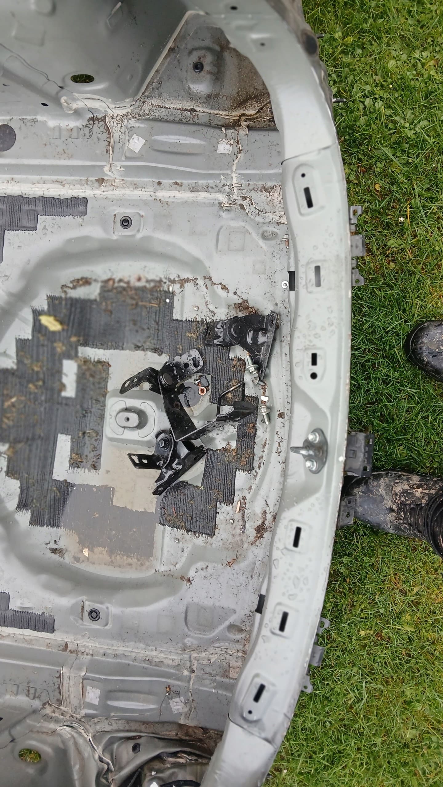 Panel Trasero Mazda 3 BN BM 2017 usado 3