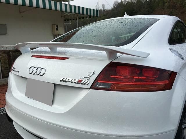 Spoiler Trasero Audi TT 8J Shuttlecock Imprimado nuevo 7