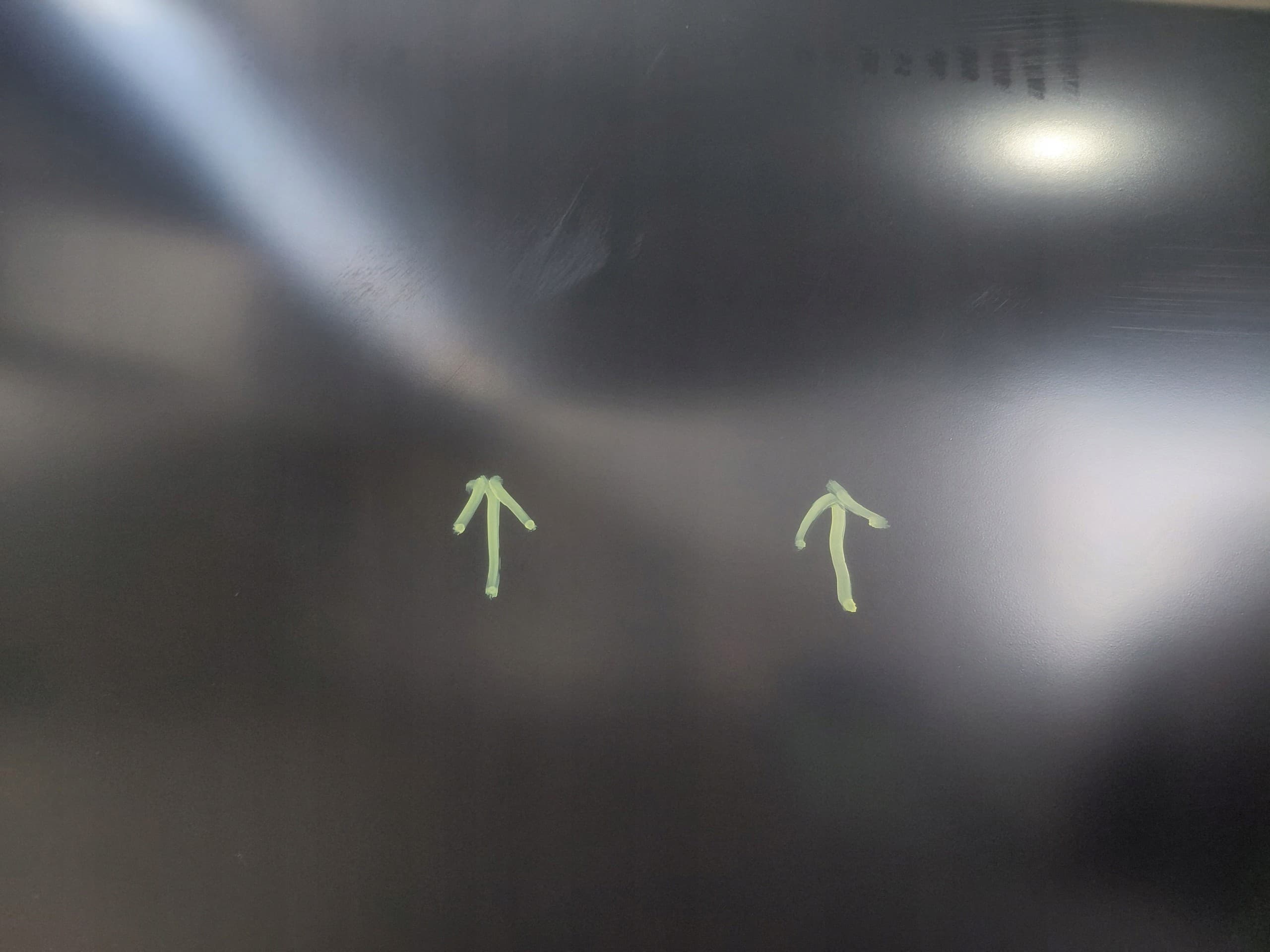 Puerta Delantera Derecha Nissan Juke II F16 Original nuevo 7