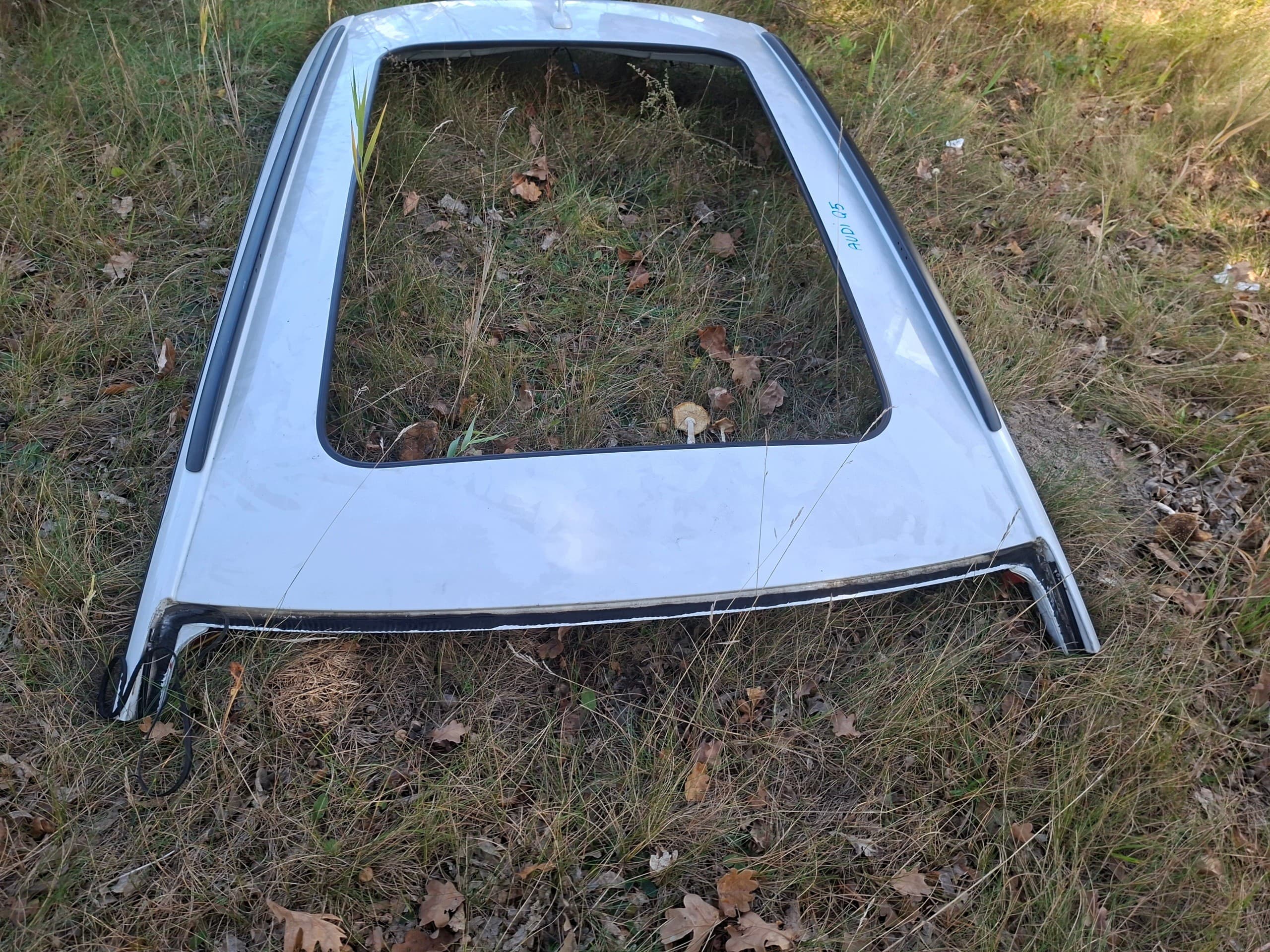 Techo Audi Q5 8R 2008-2016 con techo solar usado 4