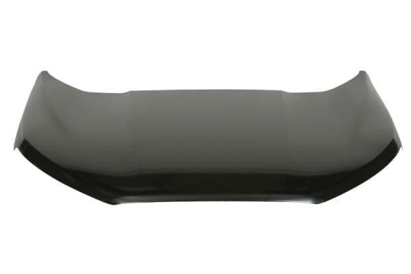 Capó para Ford Ecosport 10.17- 6803-00-2594280P nuevo 2