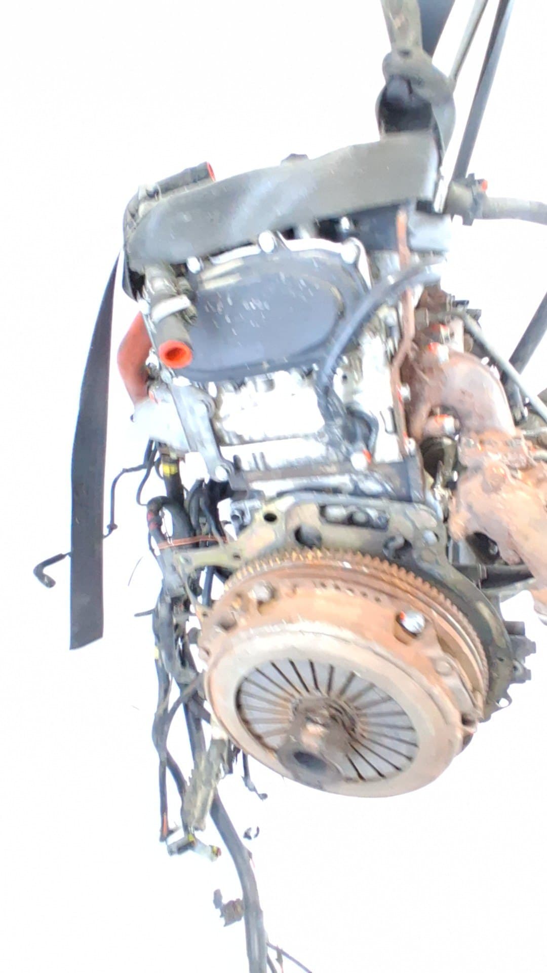 Motor completo IVECO DAILY 2