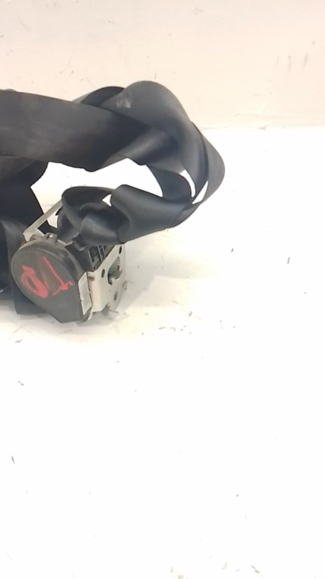 Cinturon seguridad trasero derecho DACIA LODGY 5