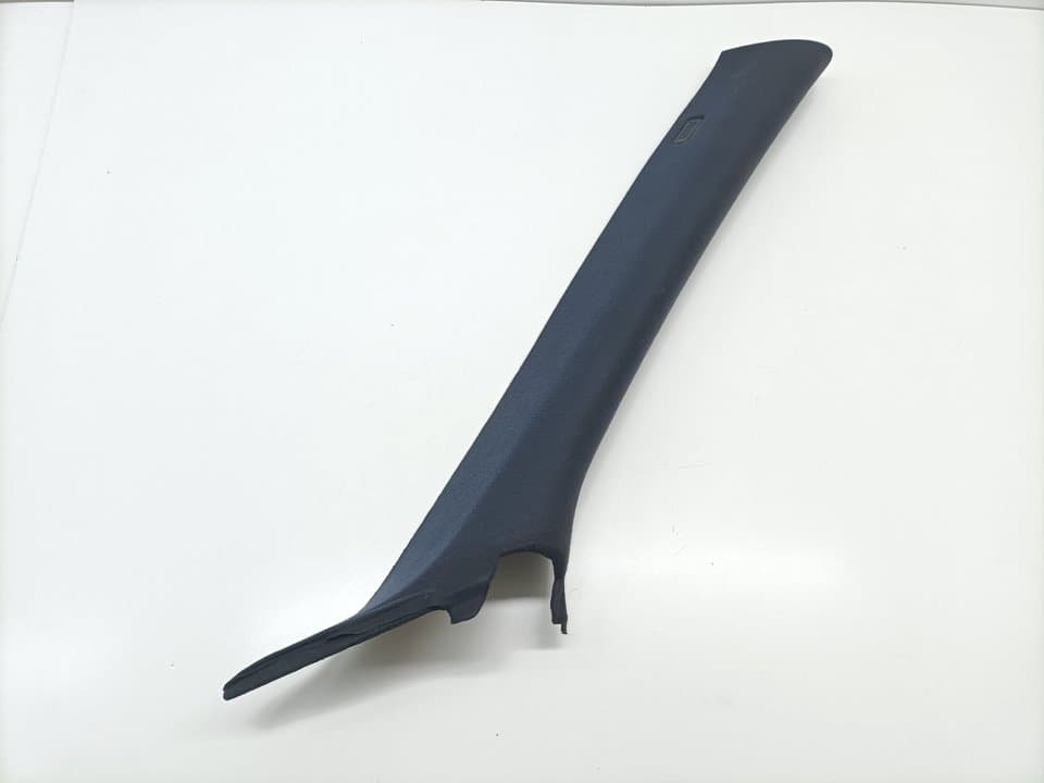 Plastico BMW X5 (E53)
