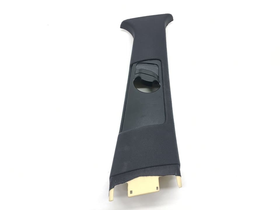 Plastico BMW X5 (E53)
