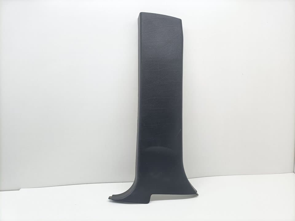 Plastico BMW X5 (E53)