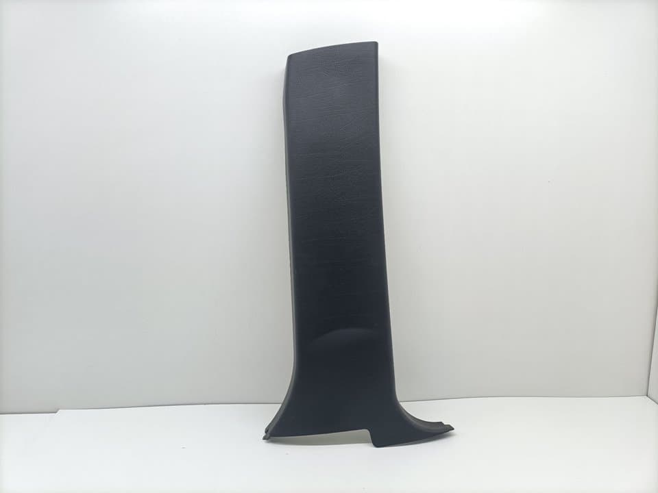 Plastico BMW X5 (E53)