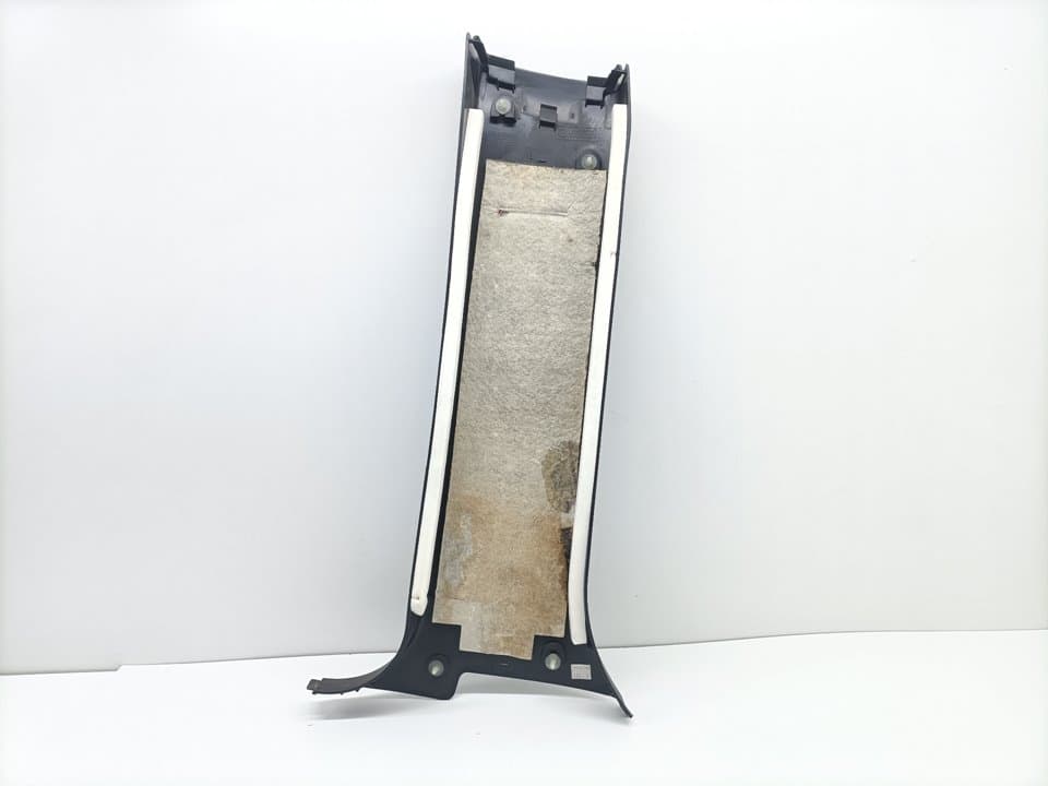 Plastico BMW X5 (E53) 3