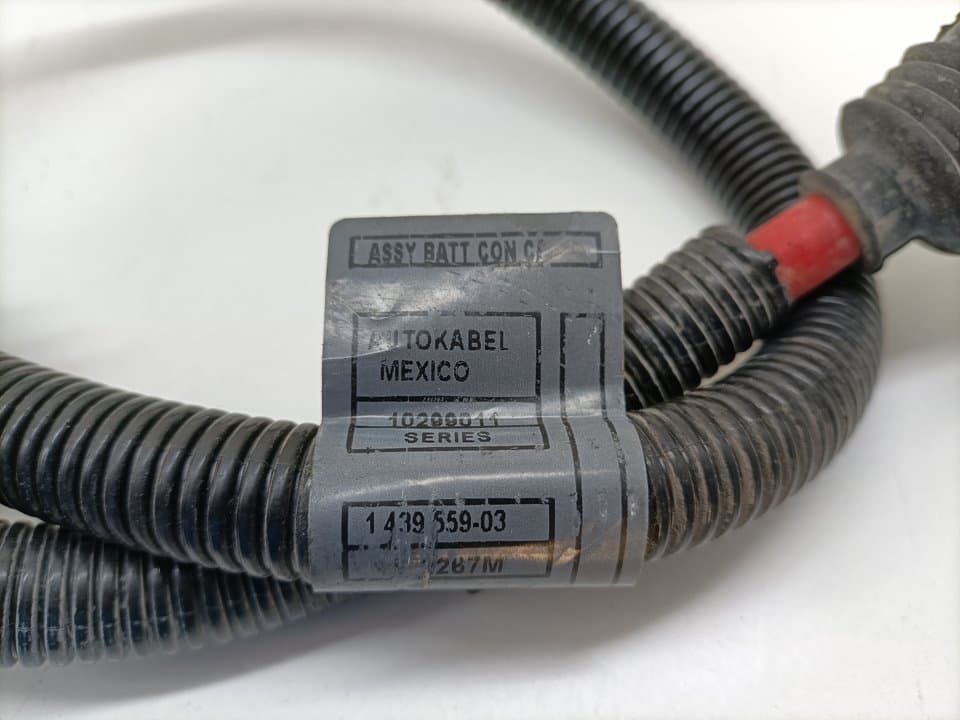 Cableado BMW X5 (E53) 2