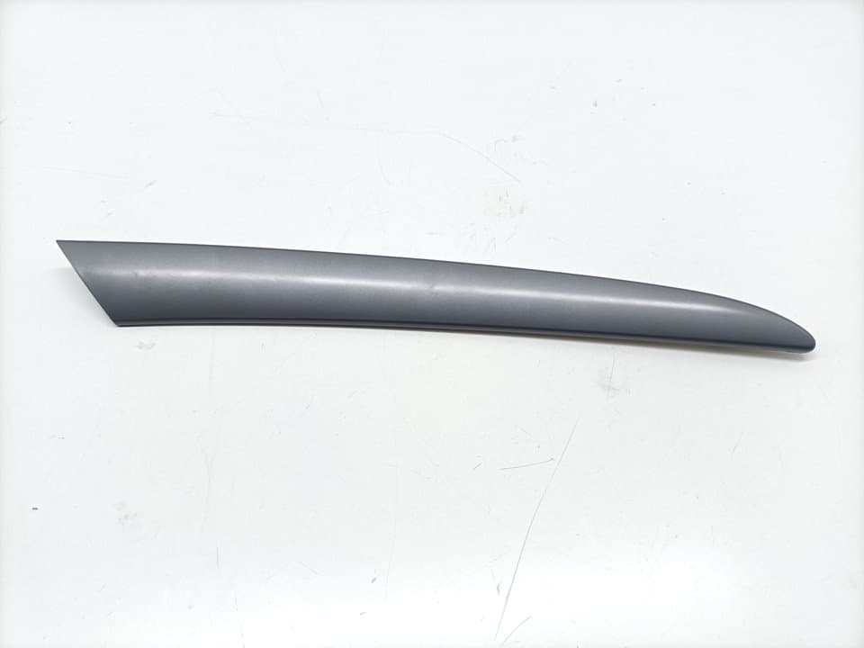 Plastico BMW X5 (E53)