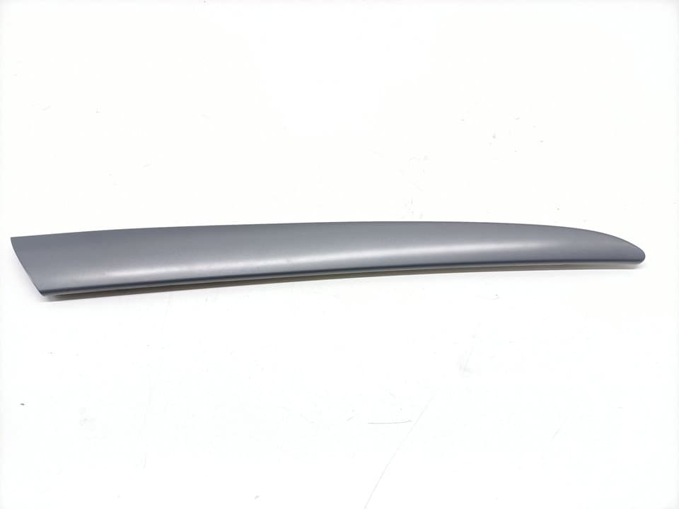 Plastico BMW X5 (E53)