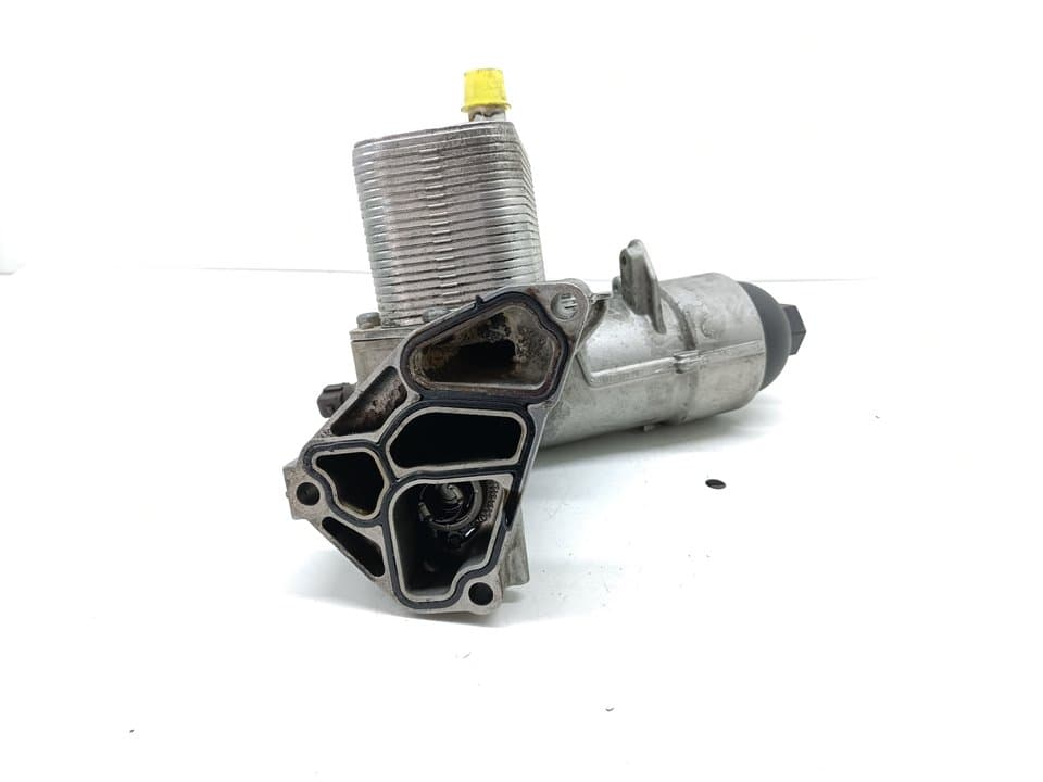 Radiador aceite BMW X5 (E53) 5