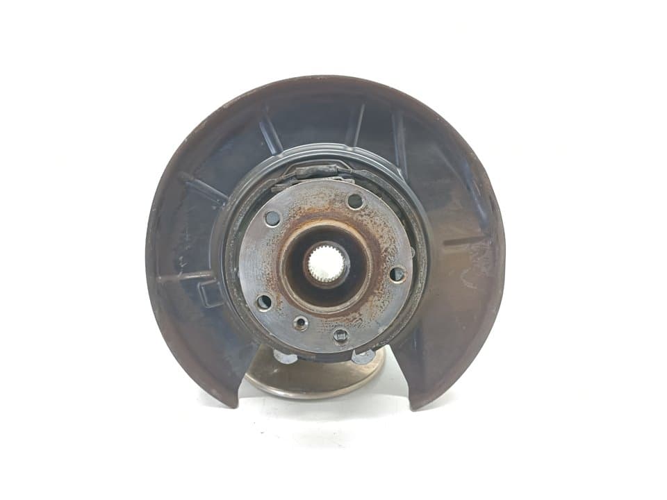 Mangueta trasera derecha BMW X5 (E53)