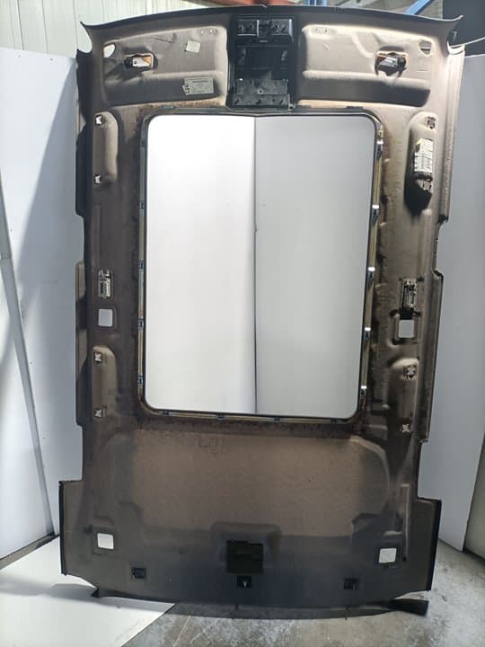 Techo interior BMW X5 (E53) 4