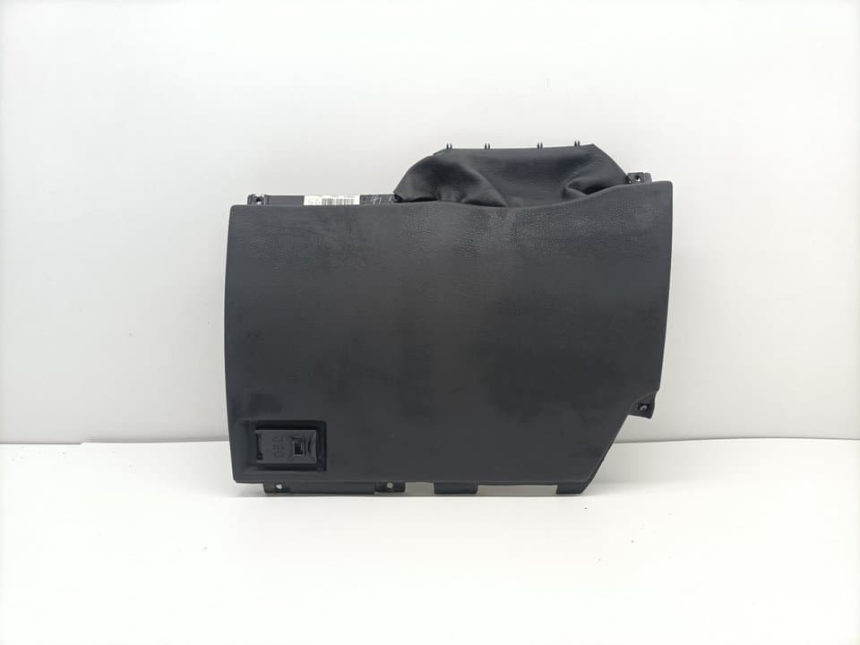 Plastico BMW X5 (E53)
