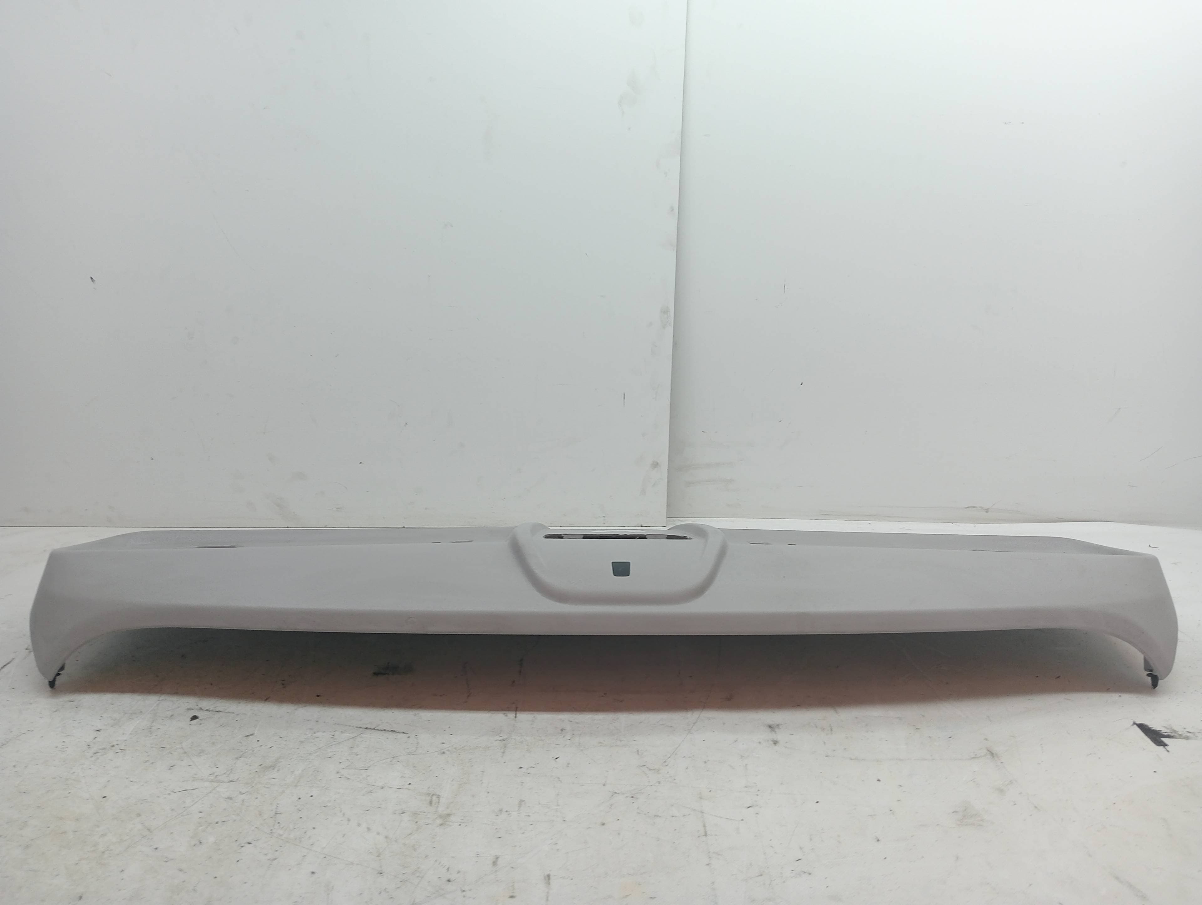 Plastico FIAT DOBLO CARGO (263_)