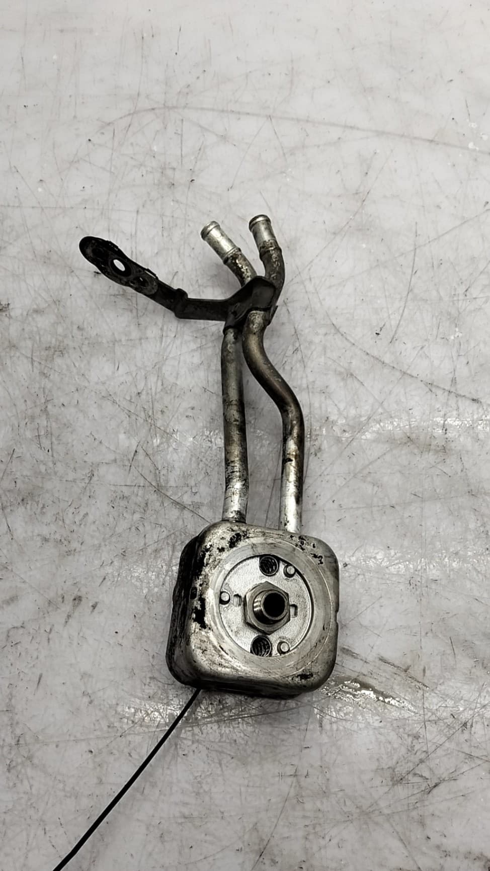 Radiador aceite SEAT LEON (1M1)