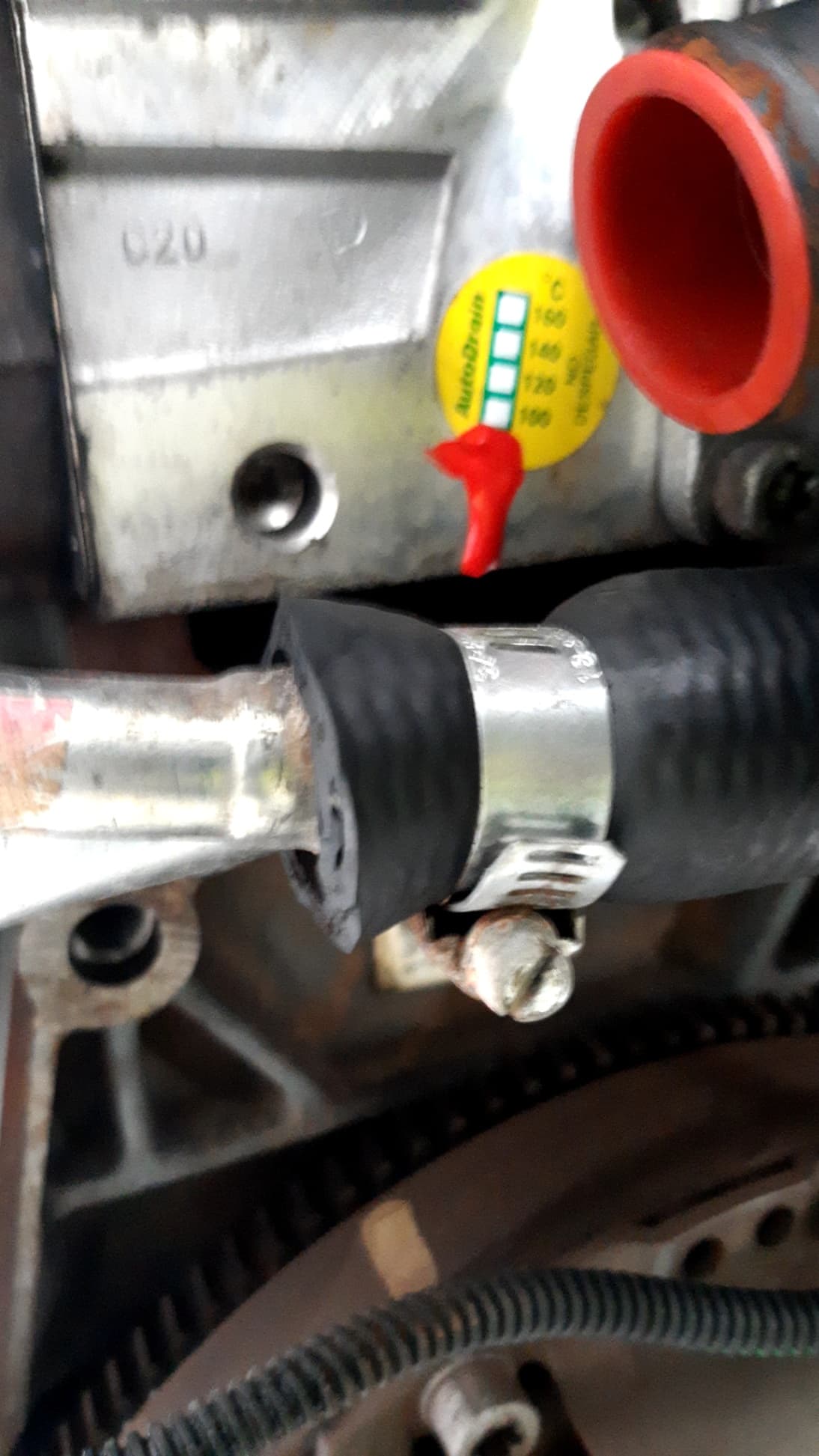 Motor completo FIAT PUNTO 2