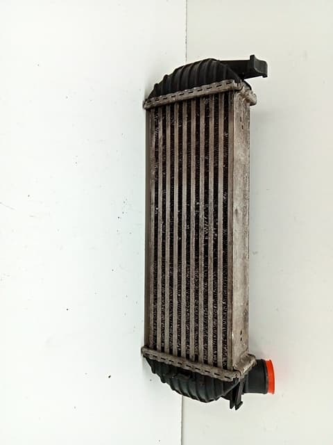 Intercooler RENAULT KANGOO 4