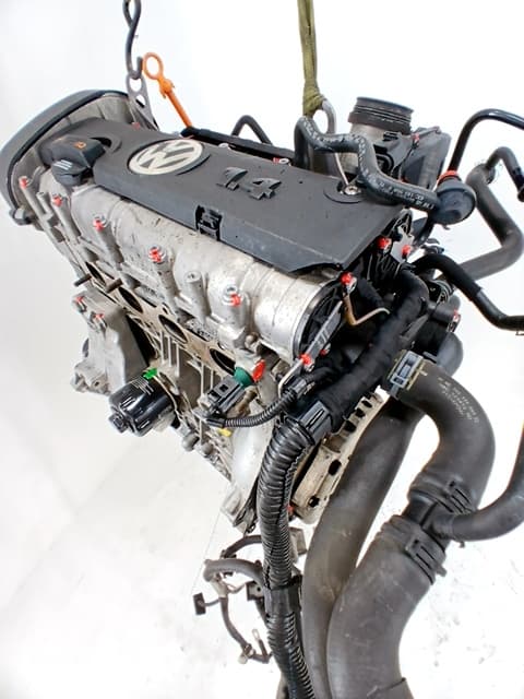 Motor completo VOLKSWAGEN GOLF VI (5K1)