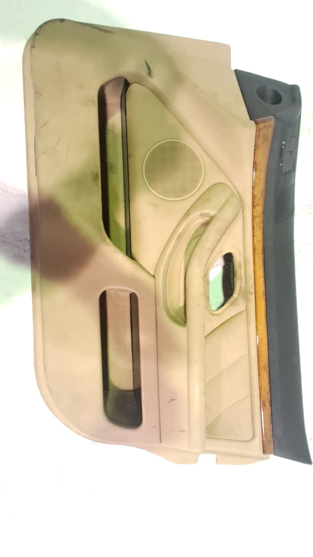 Guarnecido puerta delantera derecha BMW SERIE 5 BERLINA (E39)