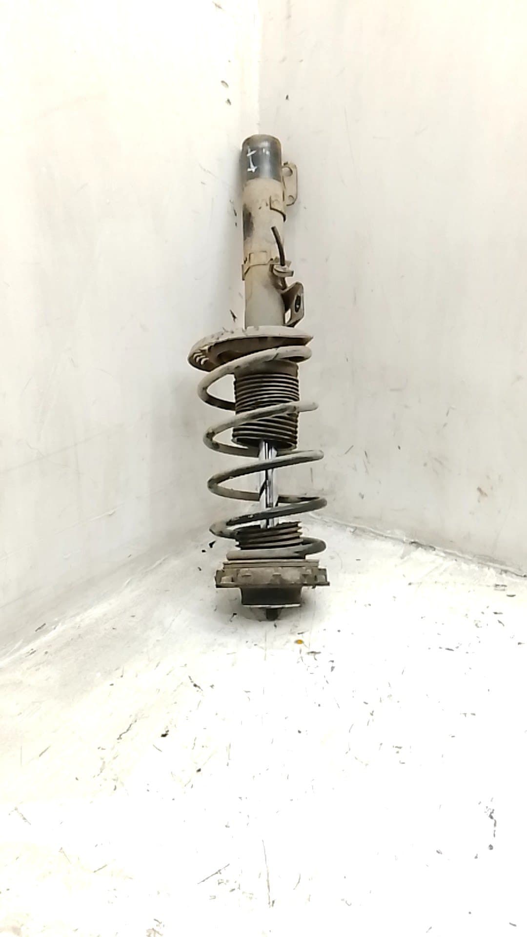 Amortiguador delantero izquierdo SEAT IBIZA (6L1)