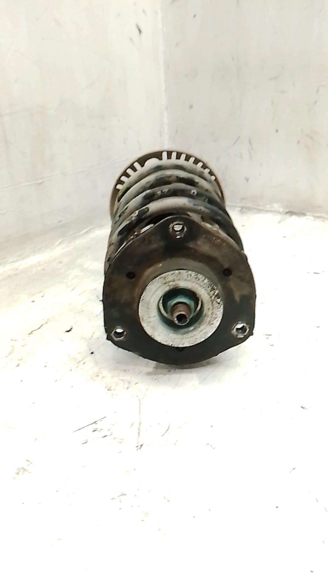 Amortiguador delantero izquierdo SEAT IBIZA (6L1) 2