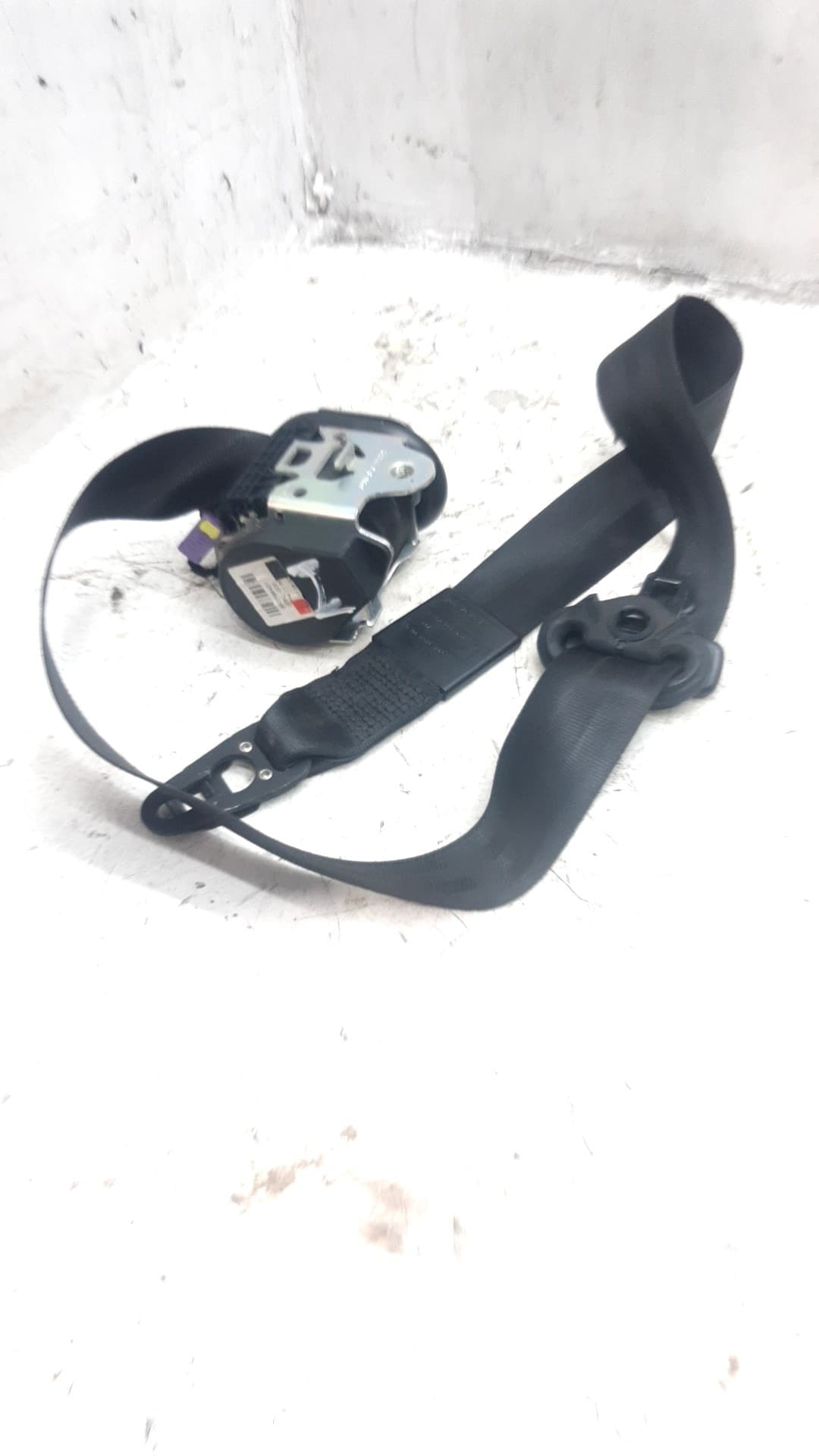 Cinturon seguridad delantero izquierdo AUDI A4 AVANT (8E)
