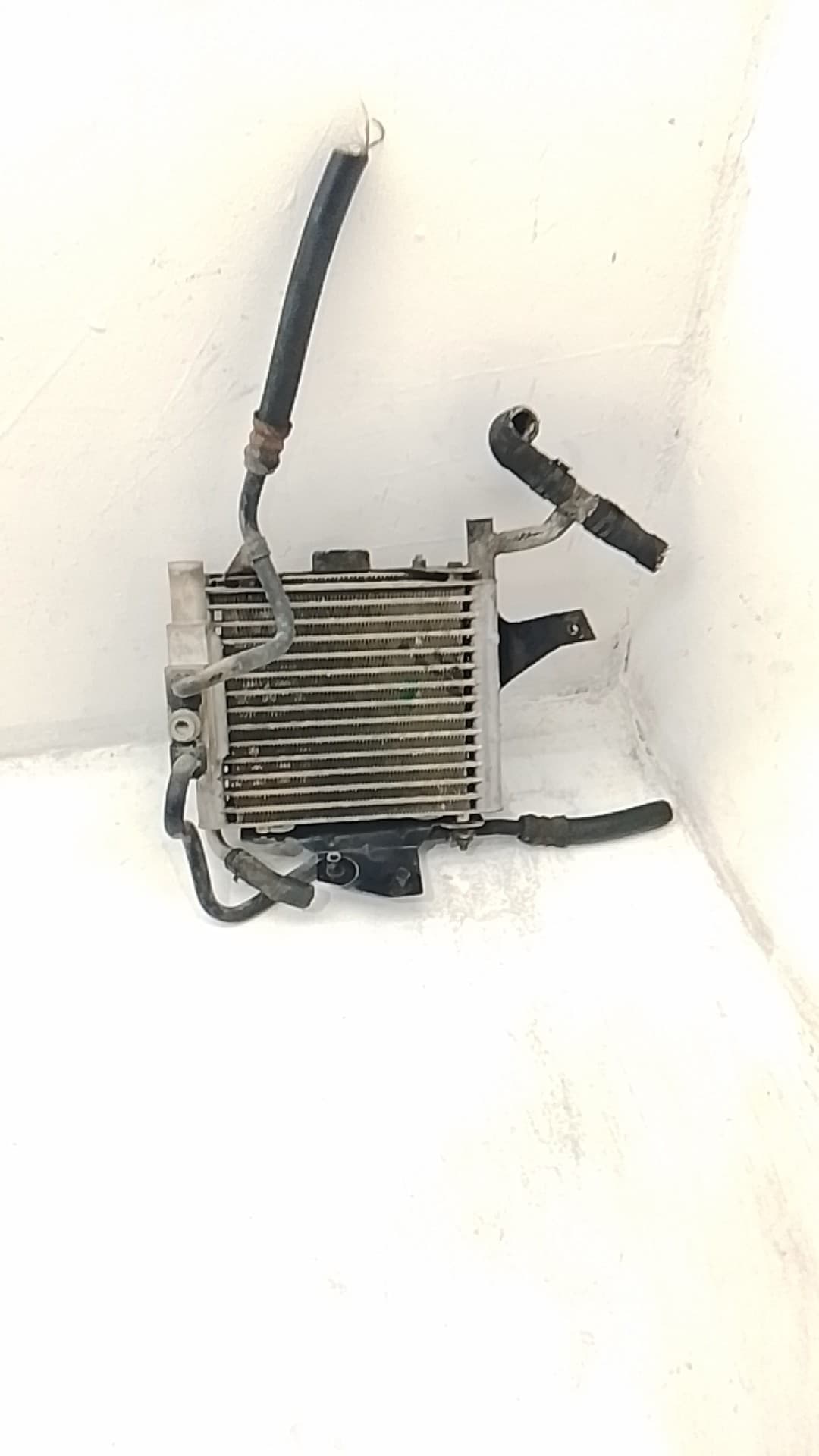 Radiador aceite AUDI A6 AVANT (4B5) 4