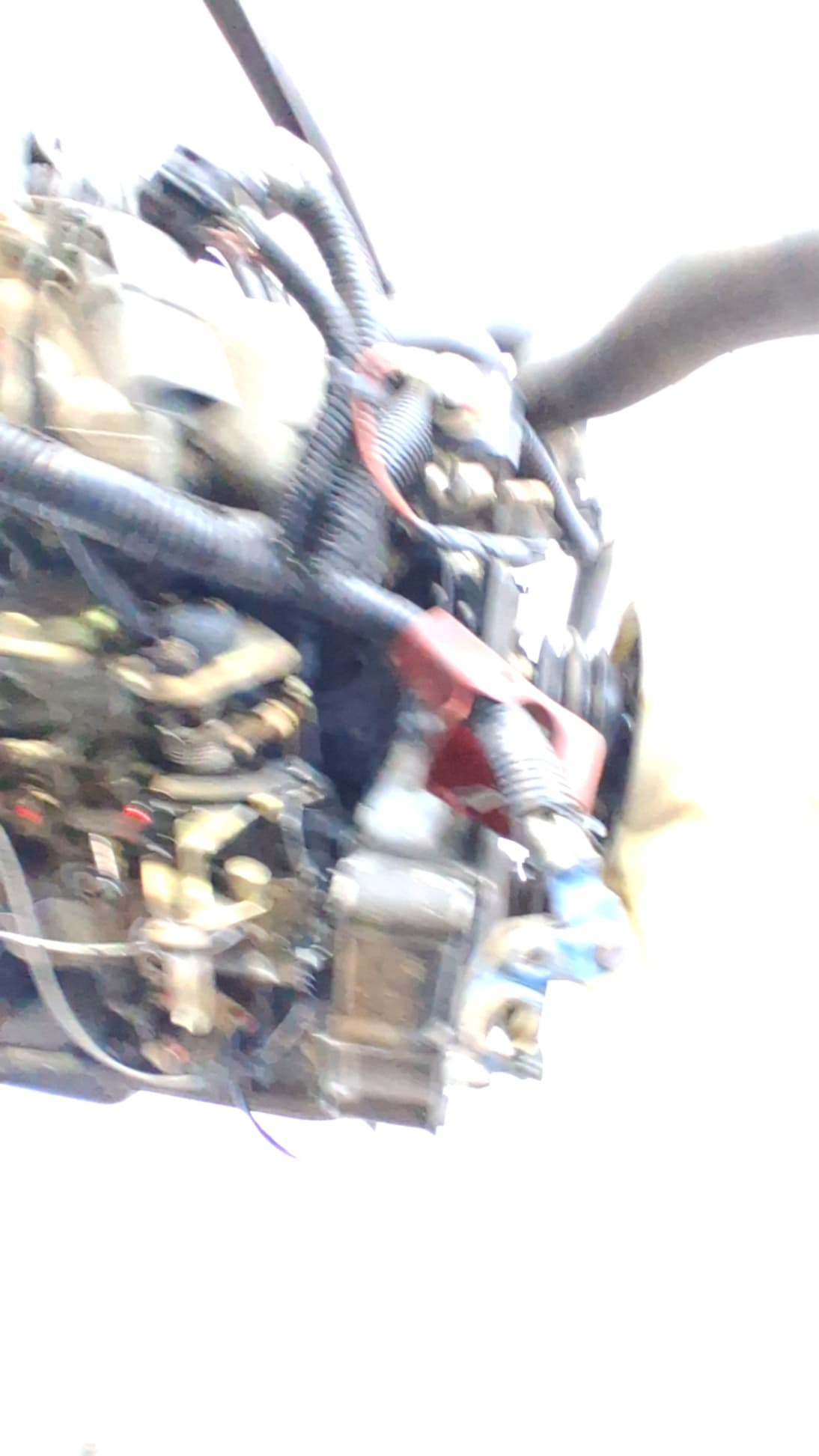 Motor completo NISSAN TERRANO/TERRANO.II (R20) 5