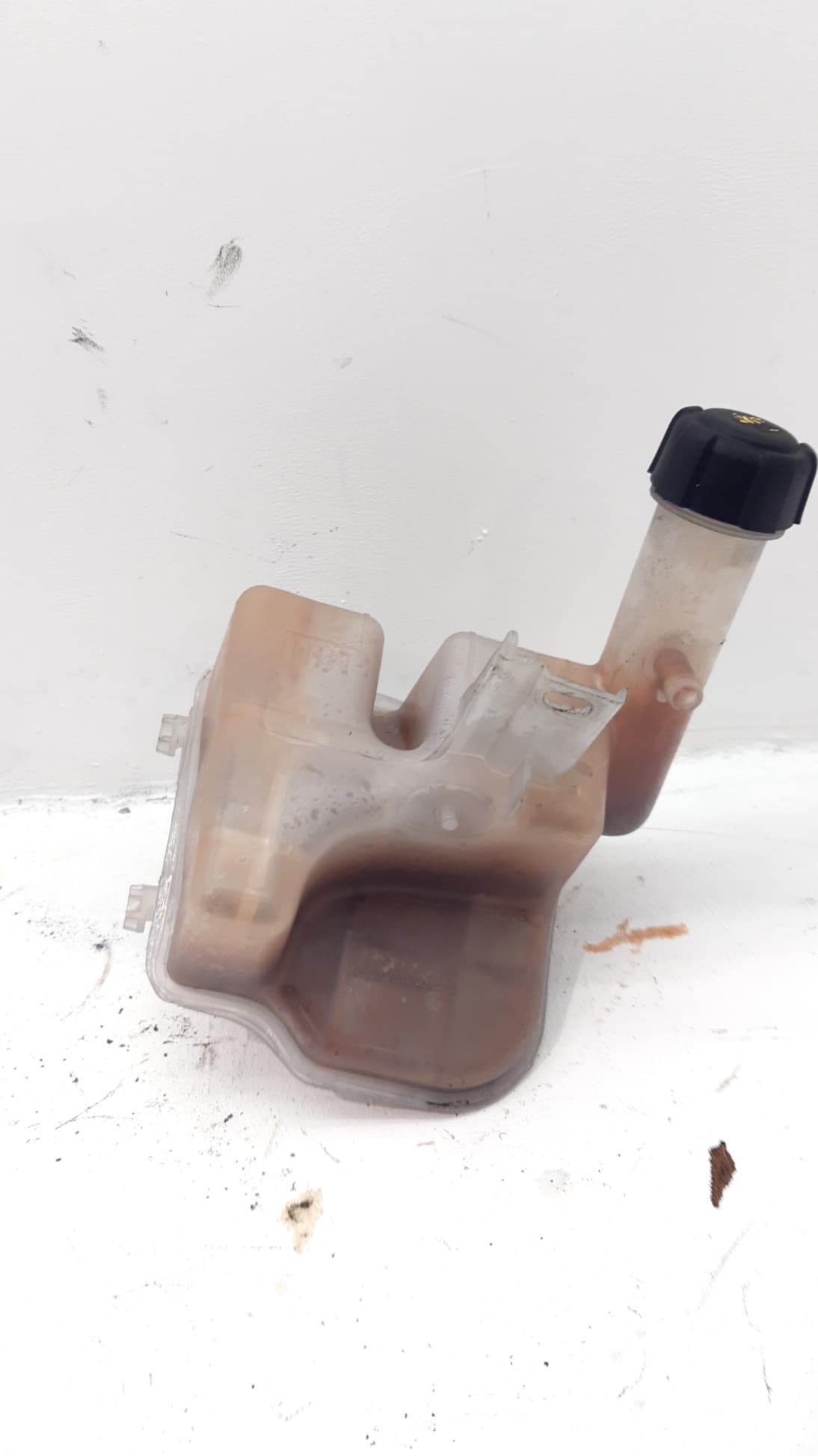 Deposito expansion RENAULT LAGUNA (B56) 3