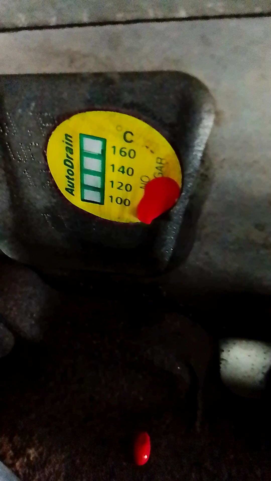 Motor completo SKODA FABIA 2