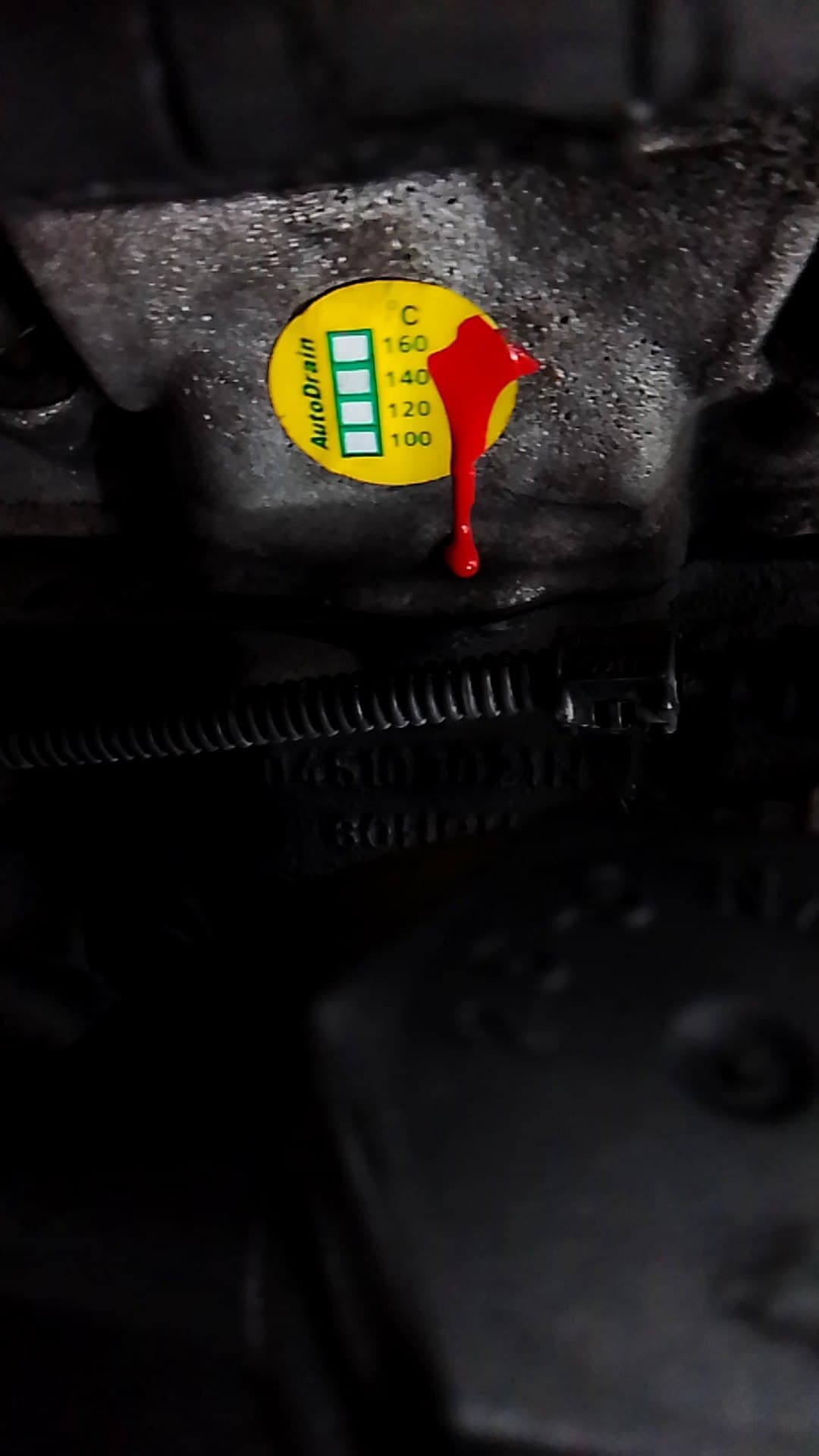 Motor completo VOLKSWAGEN POLO (9N1) 2