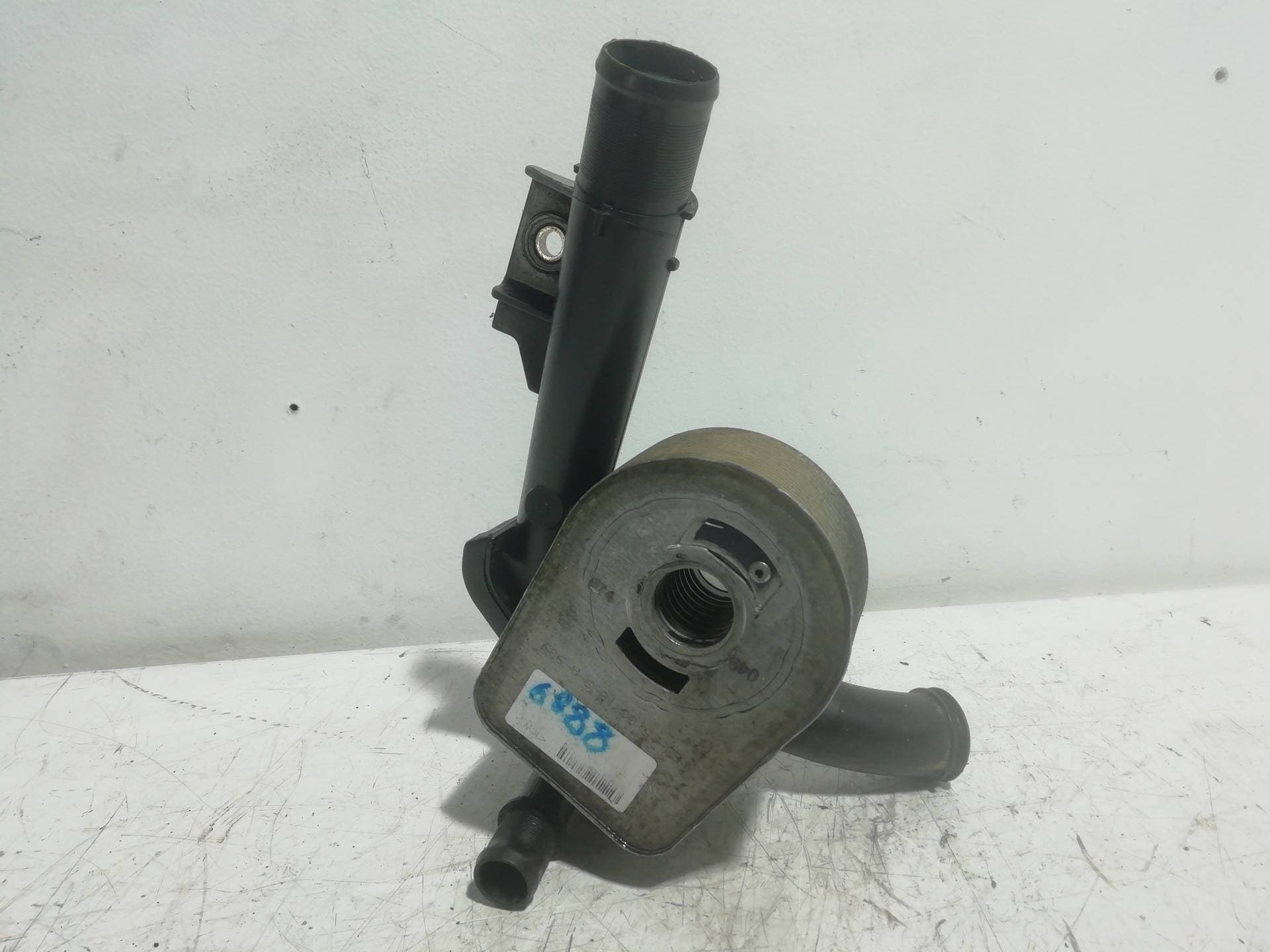 Radiador aceite RENAULT KANGOO