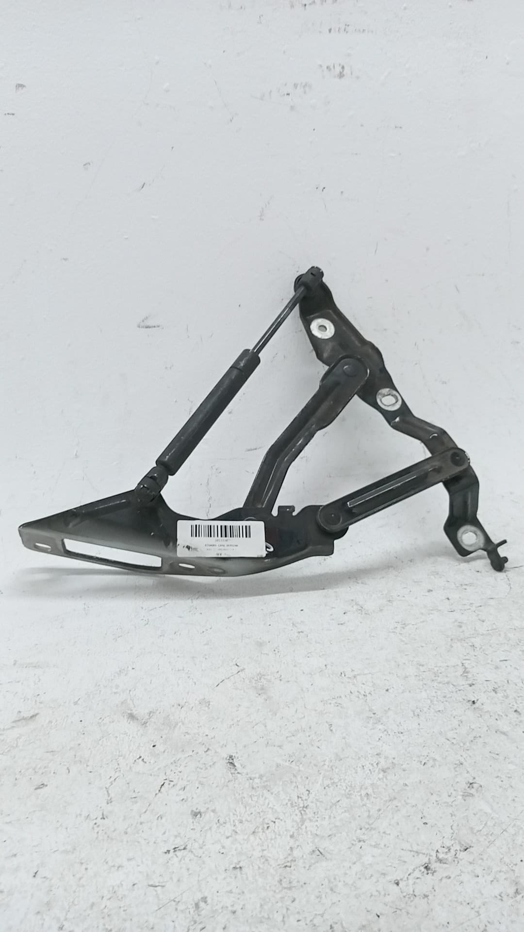 Recambio AUDI TT (8N3/8N9) ref. 8N0823302
