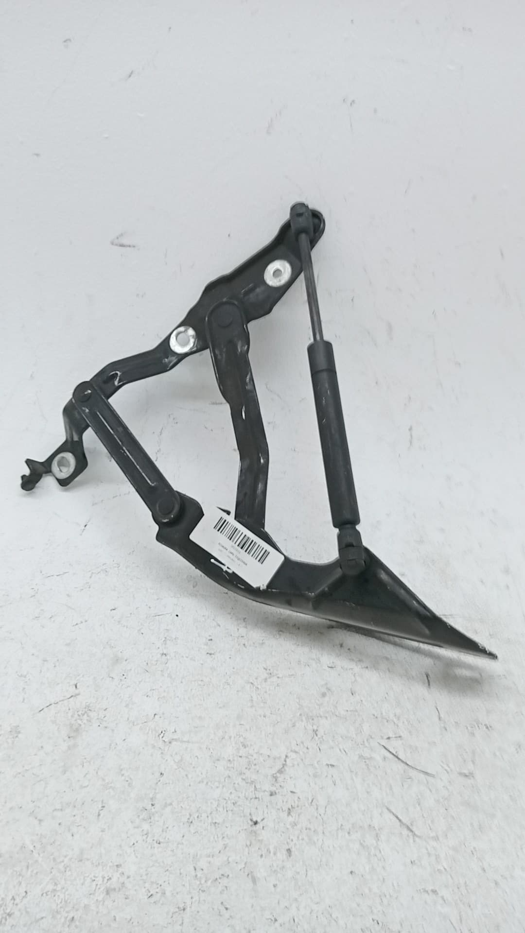 Recambio AUDI TT (8N3/8N9) ref. 8N0823301