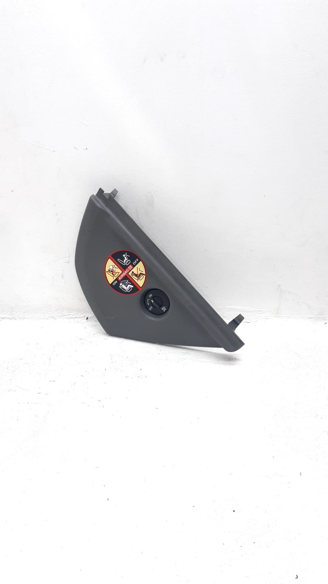 Moldura interior RENAULT GRAND SCENIC II (JM0/1_)