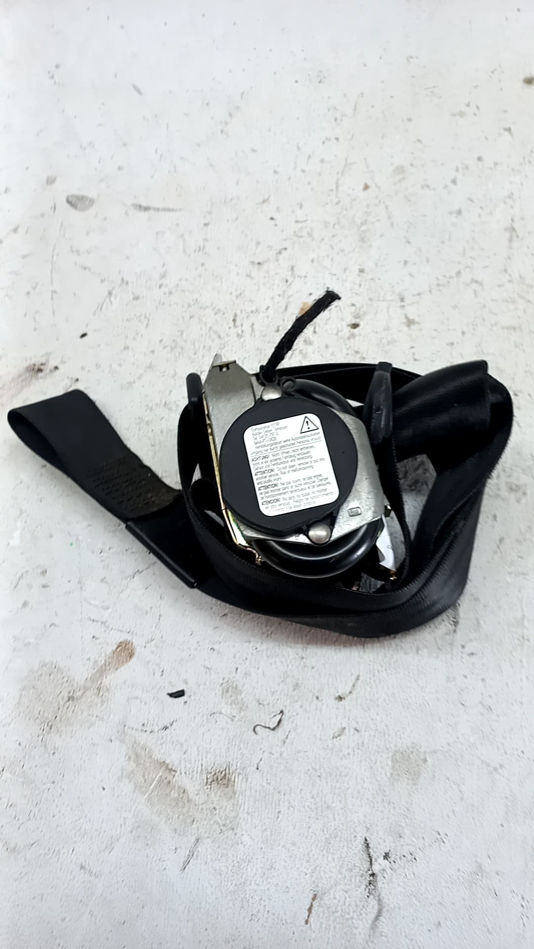 Cinturon seguridad delantero izquierdo AUDI A3 (8L)