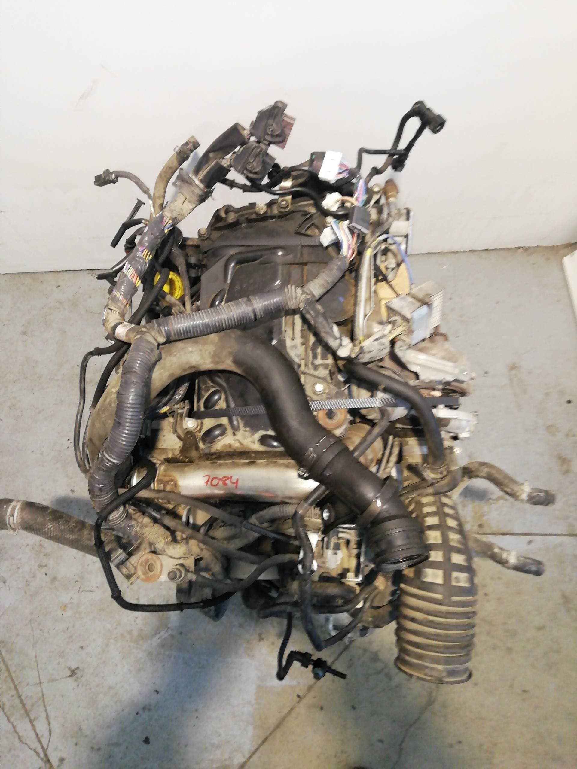 Motor completo NISSAN X-TRAIL (T31) 2
