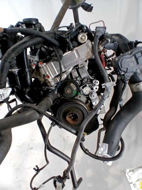 Motor completo BMW 5 (F10)