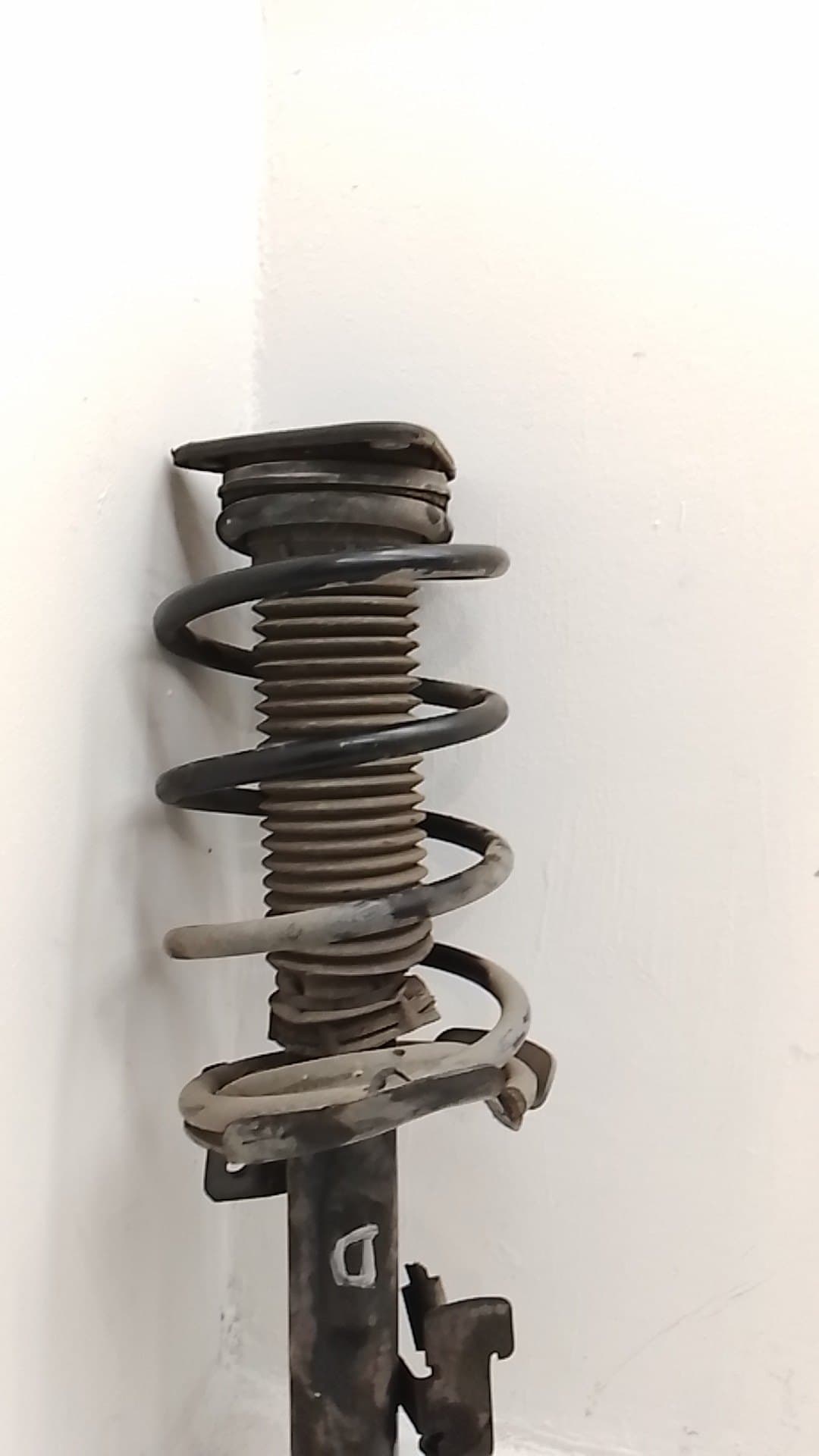Amortiguador delantero derecho FORD FOCUS BERLINA (CAP) 2