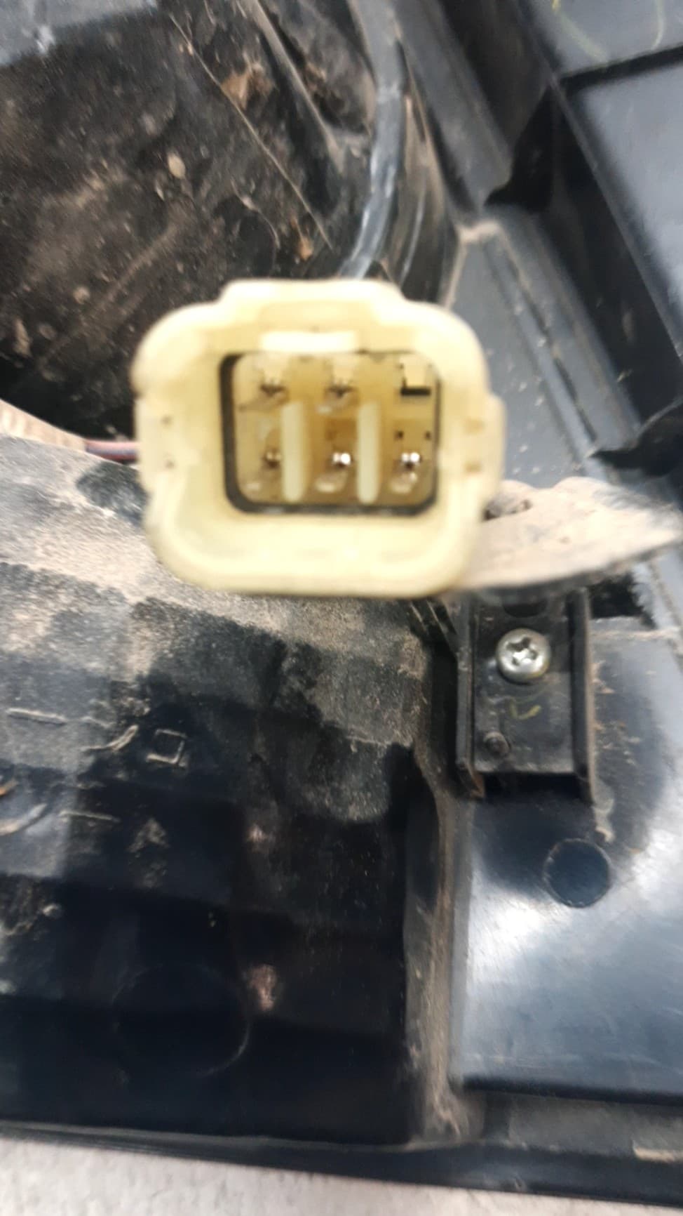 Piloto trasero derecho SUBARU FORESTER S10 (SF) 2