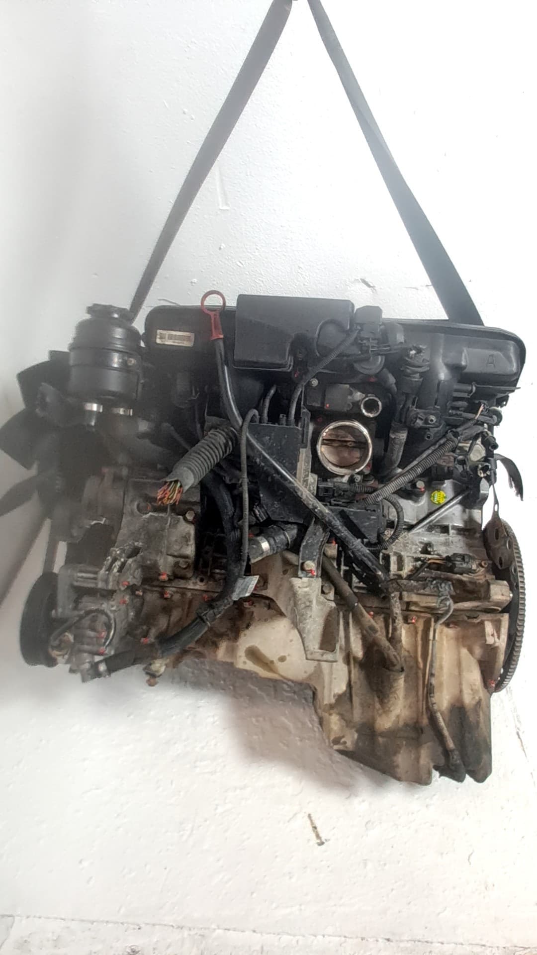 Motor completo BMW SERIE 3 BERLINA (E46)