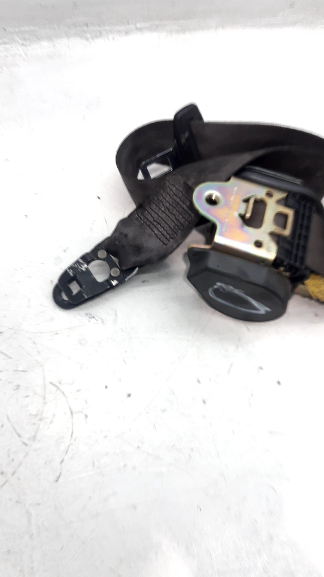 Cinturon seguridad delantero derecho AUDI A4 BERLINA (8E) 3