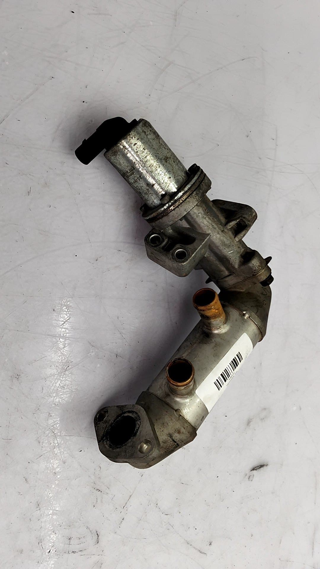 Enfriador egr FORD FOCUS