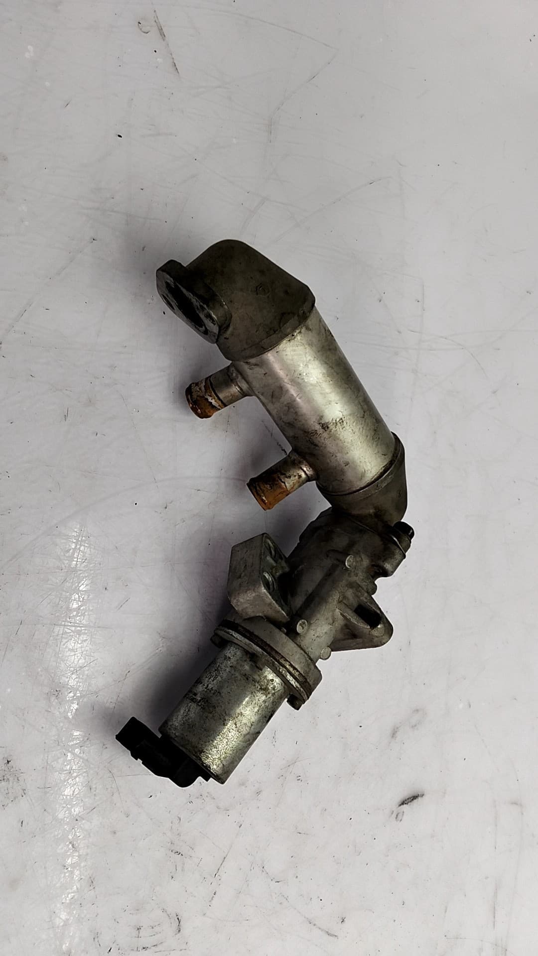 Enfriador egr FORD FOCUS 3